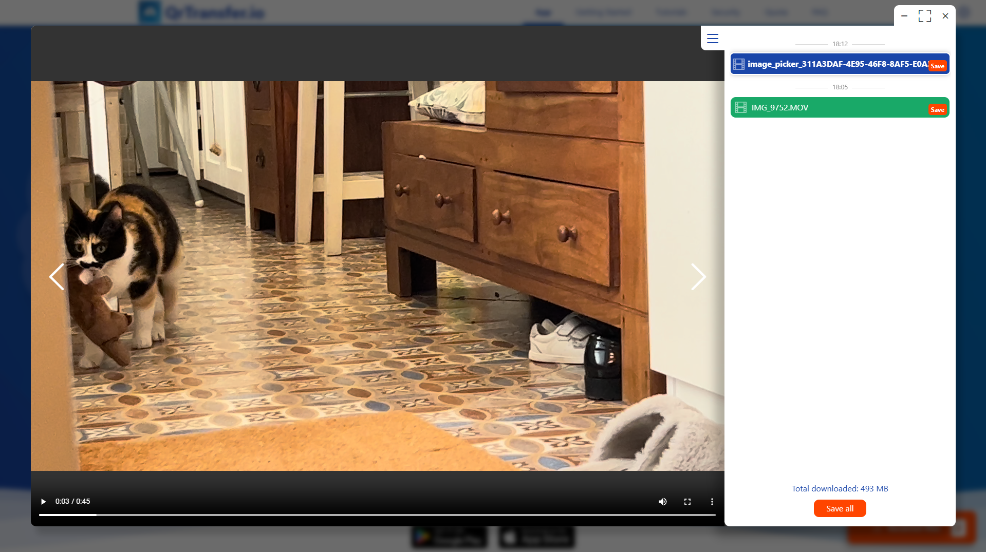 Revisa o guarda el vídeo