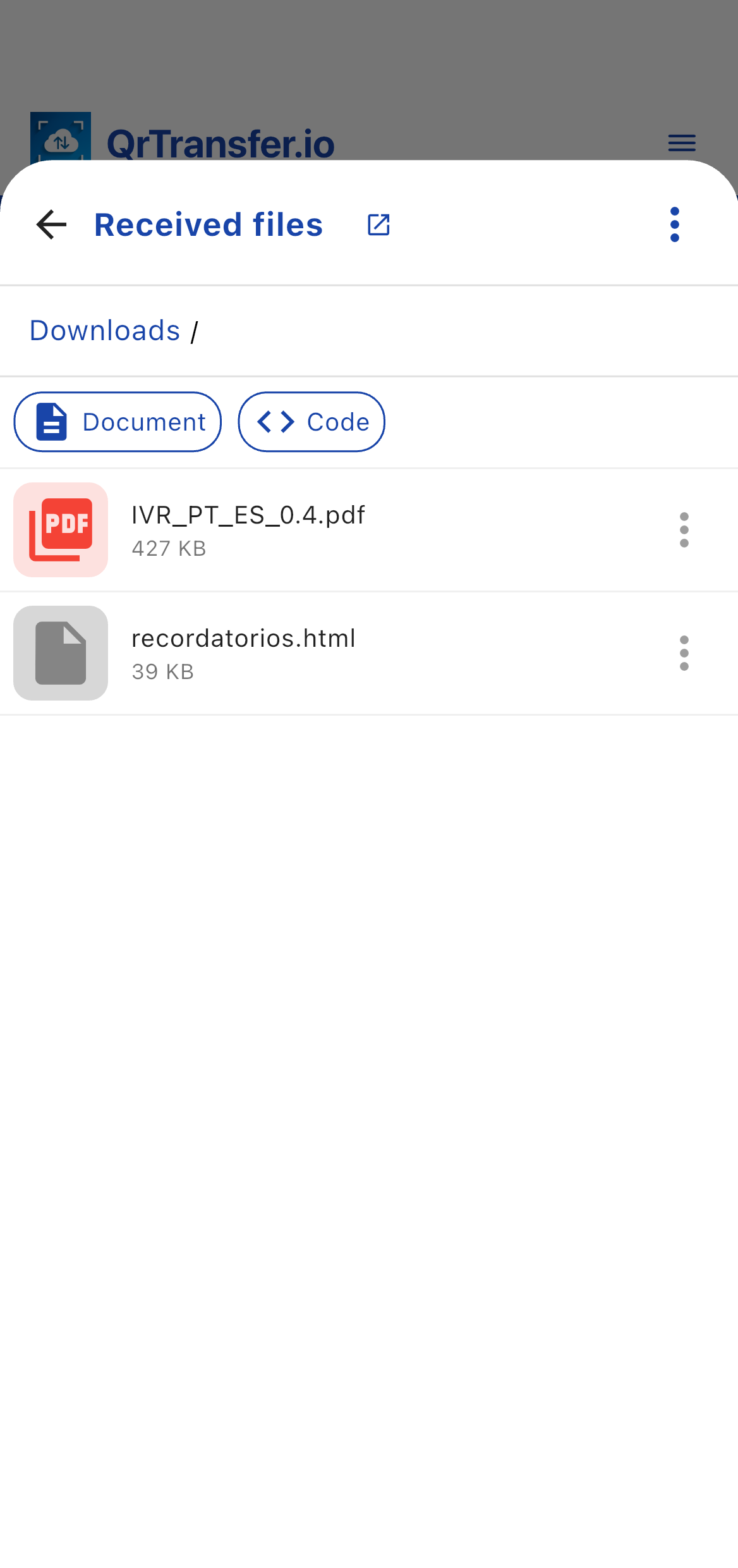 Revisa los archivos recibidos